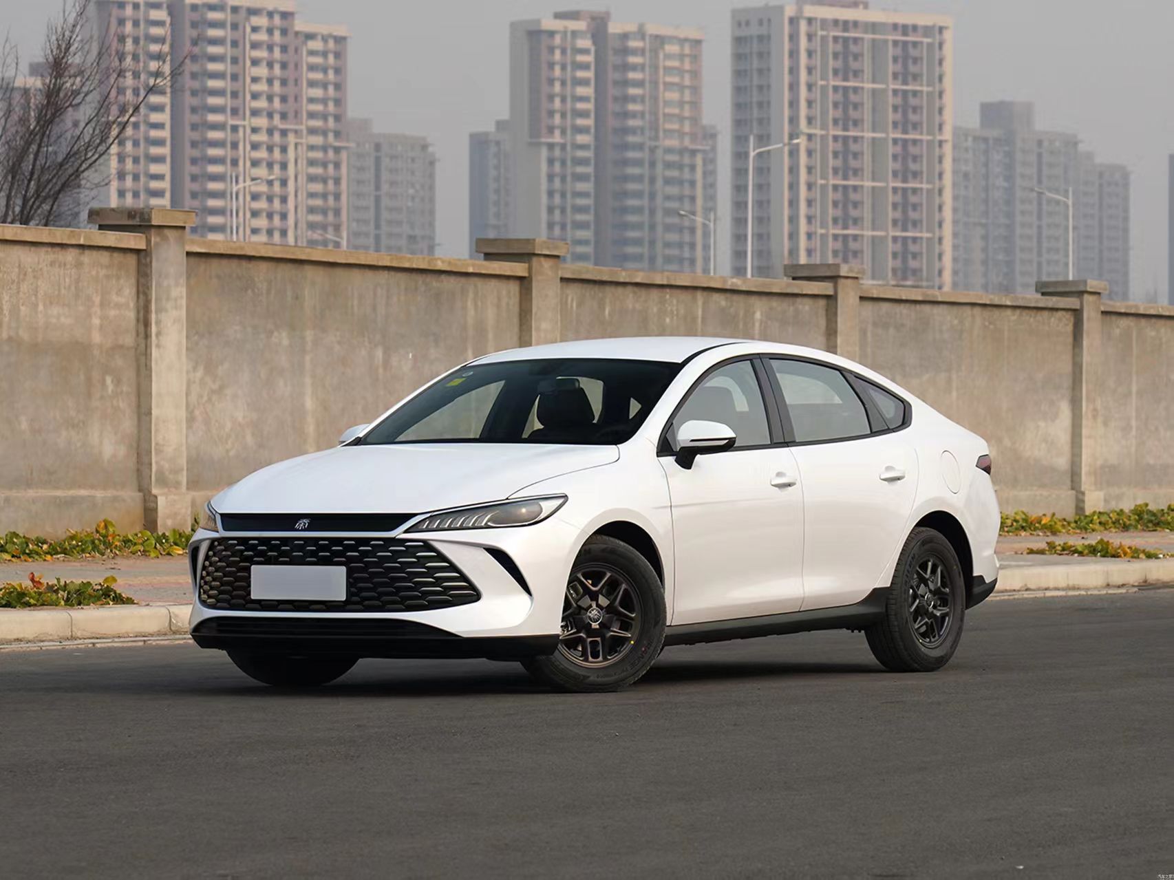 BYD Qin PLUS